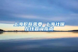 上海职称需要 上海社保在线查询指南